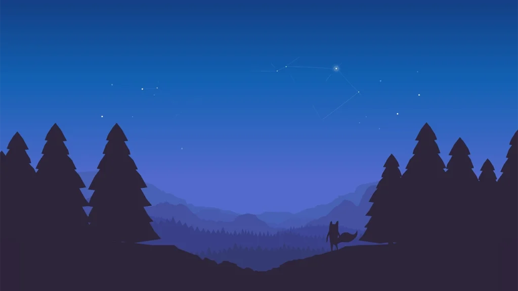 Fox Looking at Stars in The Sky wallpaper